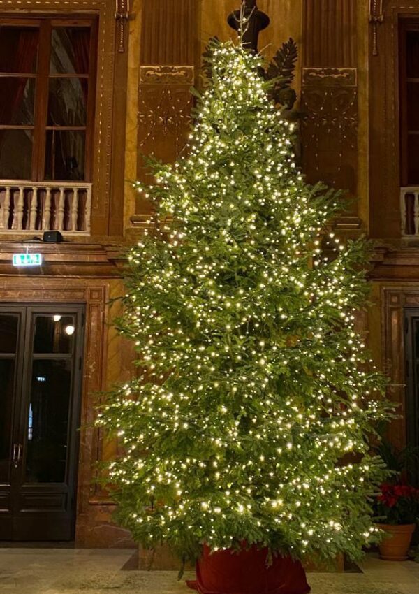 Illuminazione festività