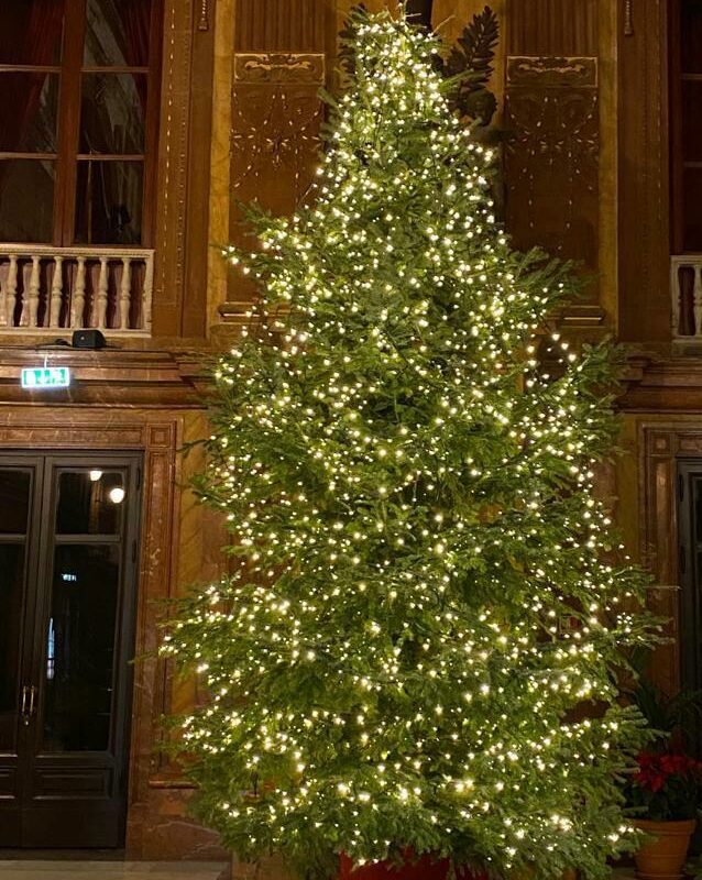 Illuminazione festività